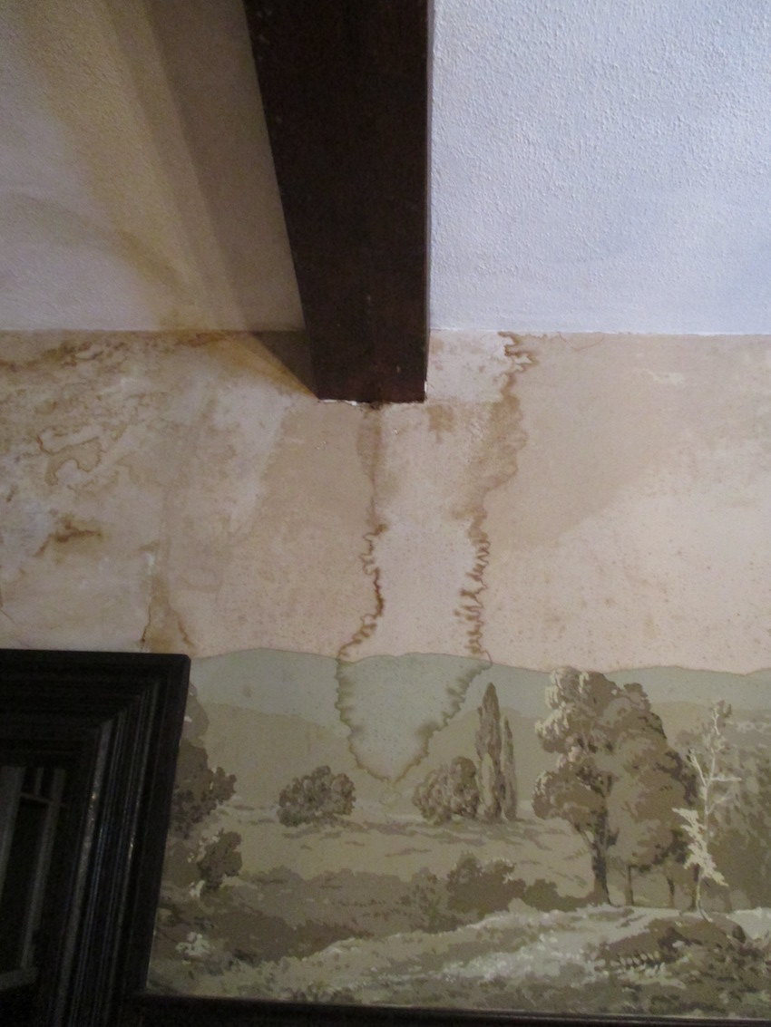 Wallpaper Restoration, Mural Conservation, Wallpaper Cleaning